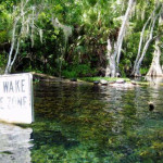 Silver River State Park, Florida No Wake Silver River State Park