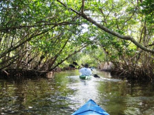 Commodore Canoe Trail, Sanibel, Fla.