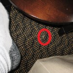 My Socked Foot and Toenail Clipping Circled in Red, Feb. 2010