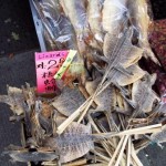 Lizard Pops, Vancouver's Chinatown, 2006