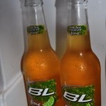 Steven Slater, This Bud