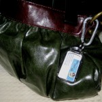 Attach Squiz Card Key Chain and Never Be Without Cards