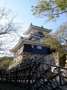 Castle in Japan Castle in Japan