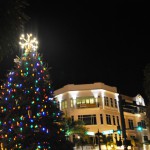 Punta Gorda, Fla., 2010 Christmas Tree Punta Gorda, Fla., 2010 Christmas Tree