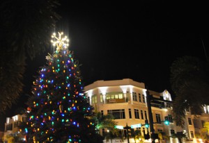 Punta Gorda, Fla., 2010 Christmas Tree