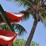 Kayak Rentals at Flamingo Marina, Everglades National Park