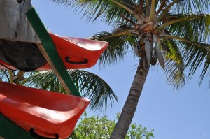 Kayak Rentals at Flamingo Marina, Everglades National Park