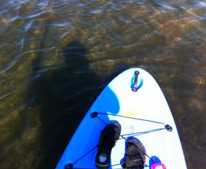 My Shadow Paddleboarding from Grande Tours, Placida, Fla.