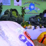 Giant Veggies at the 2011 Alaska State Fair in Palmer Giant Veggies at the 2011 Alaska State Fair in Palmer