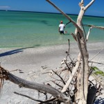 Enjoying the Last Sunday of Summer 2011 at Stump Pass Beach State Park, Englewood, Fla. Enjoying the Last Sunday of Summer 2011 at Stump Pass Beach State Park, Englewood, Fla.