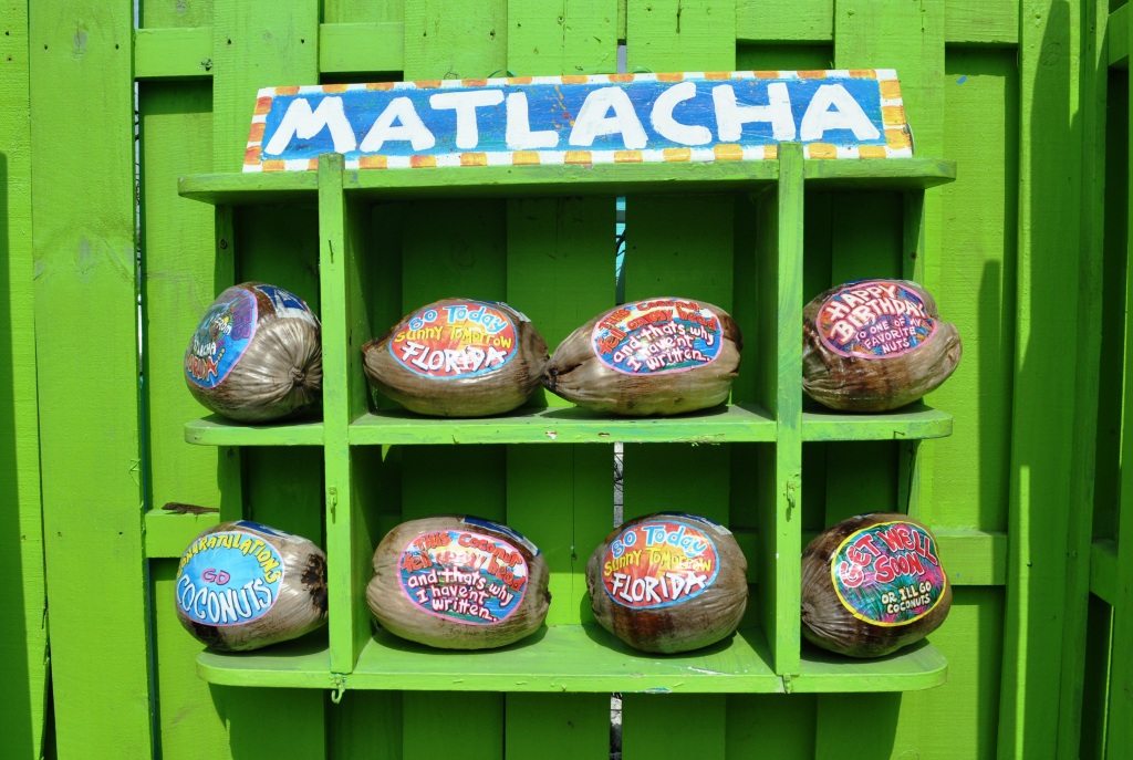 Why Mail a Postcard When You Can Send a Leoma Lovegrove Coconut? Why Mail a Postcard When You Can Send a Leoma Lovegrove Coconu