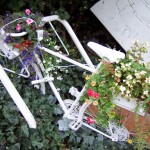 Floral Bicycle, Vancouver, B.C., Canada Floral Bicycle, Vancouver, B.C., Canada