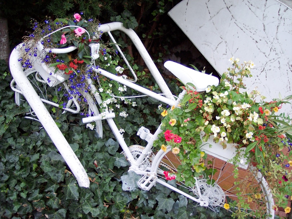 Floral Bicycle, Vancouver, B.C., Canada Floral Bicycle, Vancouver, B.C., Canada