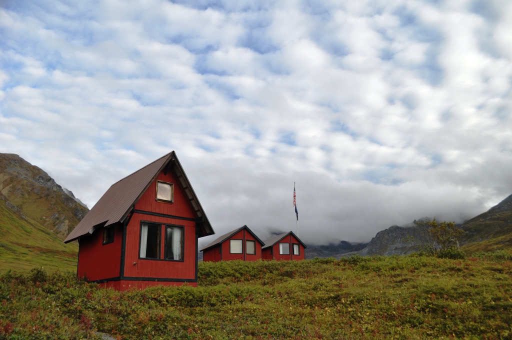 *CLOSED* It’s a Celebration! Giveaway for a $50 Prepaid Visa Card, May 1 – 31, 2012