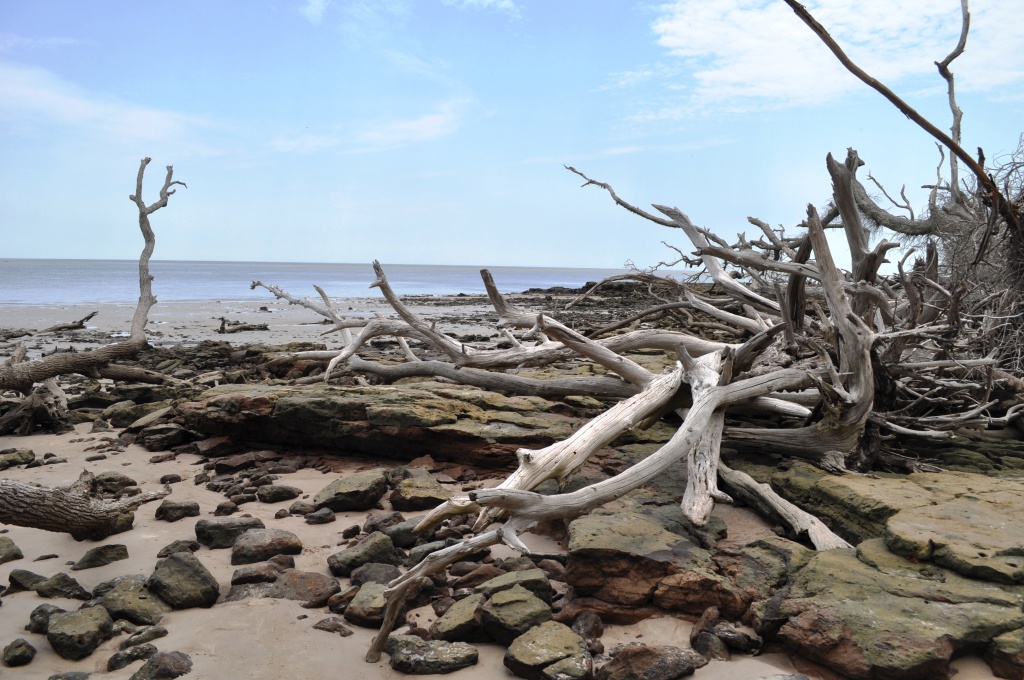 Blackrock Beach - Big Talbot Island State Park, Florida Blackrock Beach - Big Talbot Island State Park, Florida